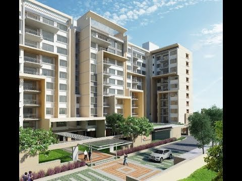 praneeth pranav solitaire