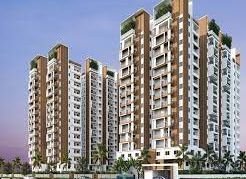 Spring is in the air