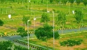 Nishija Akshita's Eastern Meadows