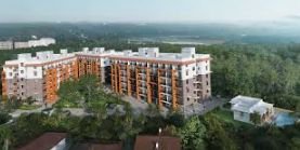 Botanica Raichandani