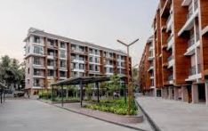 Botanica Raichandani