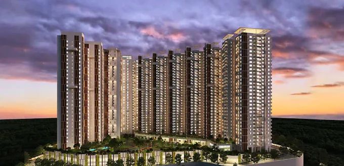 The Crown By Iconica