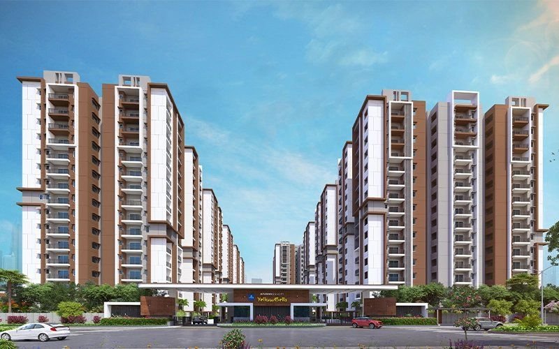 Aparna Kanopy YellowBell