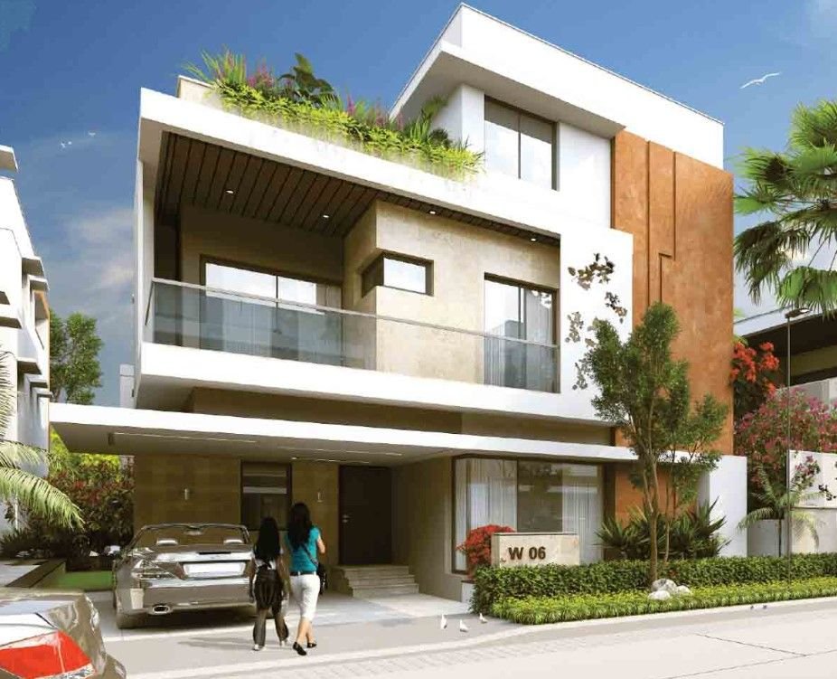 Vertex Bougainvillea