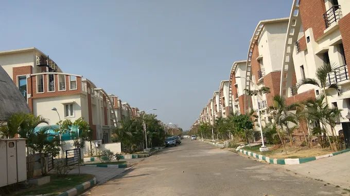 Vasudeva Bloomfield Ecstasy