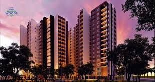 SMR Vinay Boulder Wood