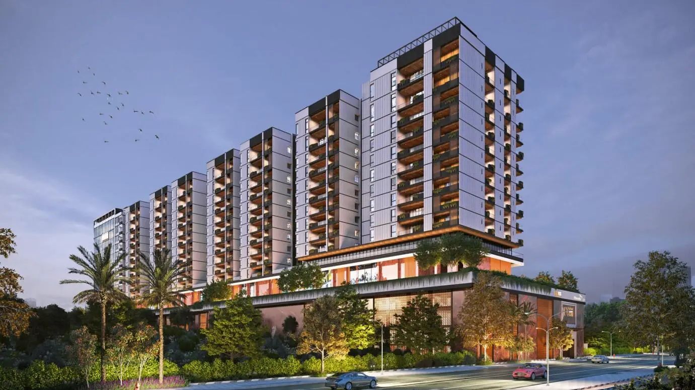 Realplus Fuji Halcyon