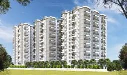 Riddhi S Taranto