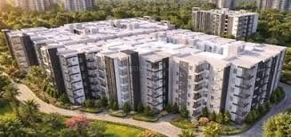 NSKs Nikhil Krishna Crown