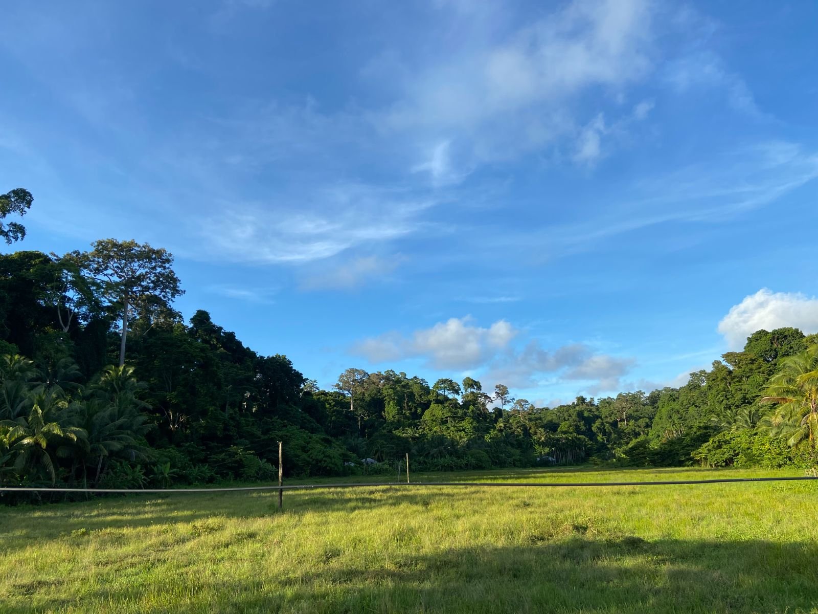 Land For Sale in Islands