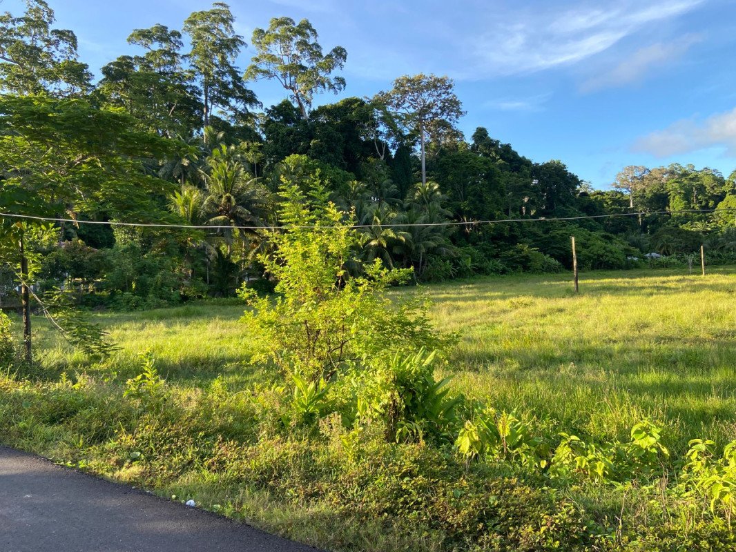 Land For Sale in Islands